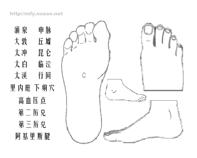 足部穴位图